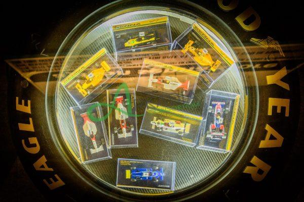 mostra senna (21)